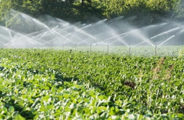 agricultura