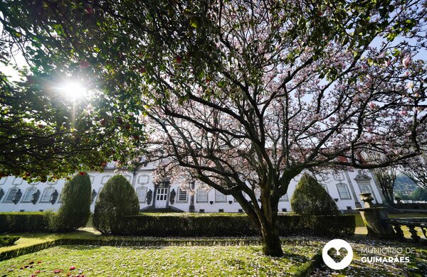 jardim_palacio_vila_flor21_085
