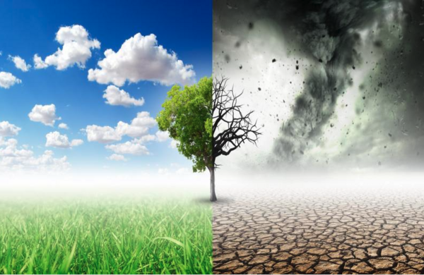 dia_mundial_do_ambiente_2