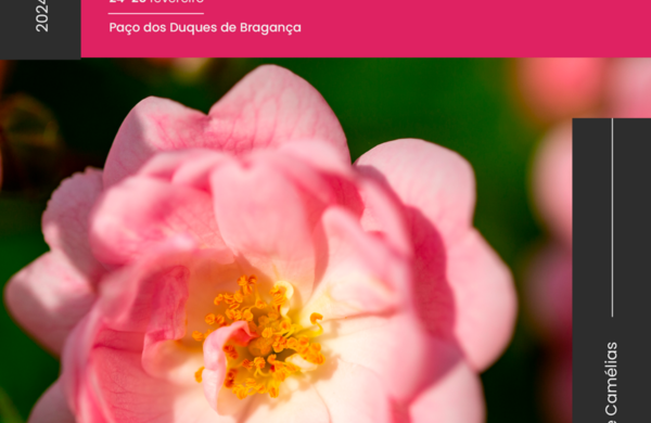 exposicao_camelias_cartaz