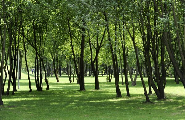 parque_da_insua_6035