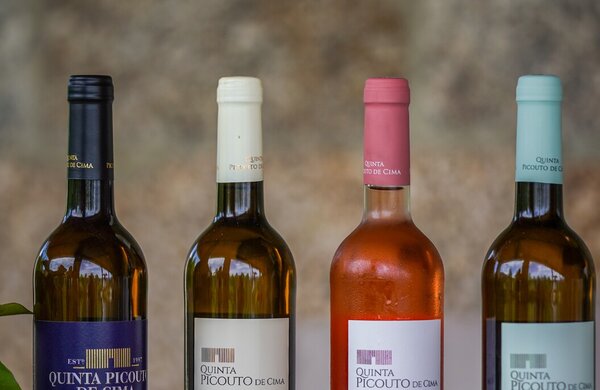 vinhos