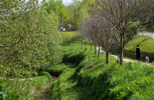 2024_05_guimaraesverde00048