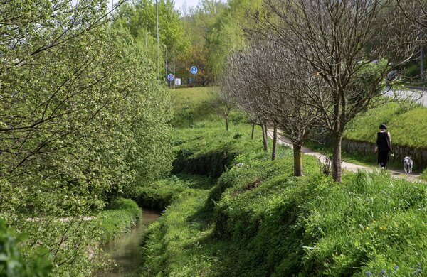 2024_05_guimaraesverde00048