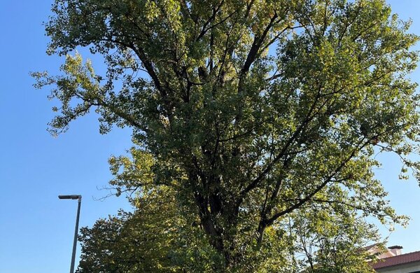 apeadeiro_de_covasassinado_2_copiar