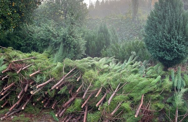 eabba247_d159_47c0_902f_820f8206918f