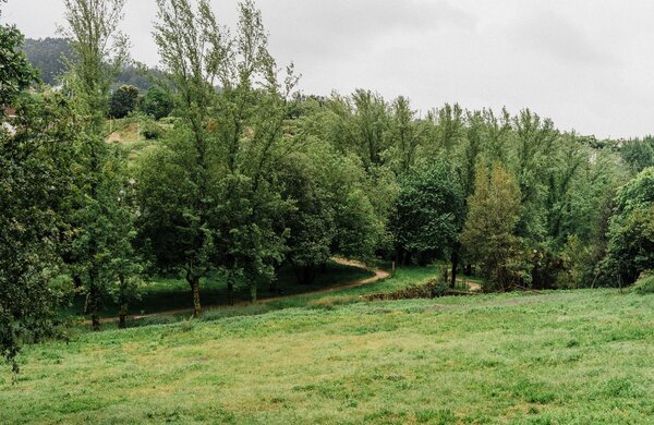 2025_lab_paisagem_arquivo_fotografia_lais_pereira_dsa08278_0_75x