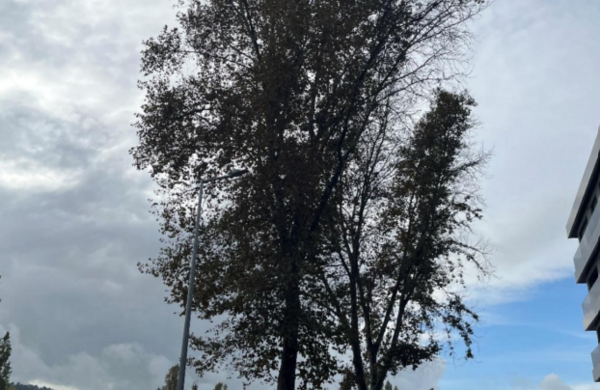 captura_de_ecra_2026_01_14_233222