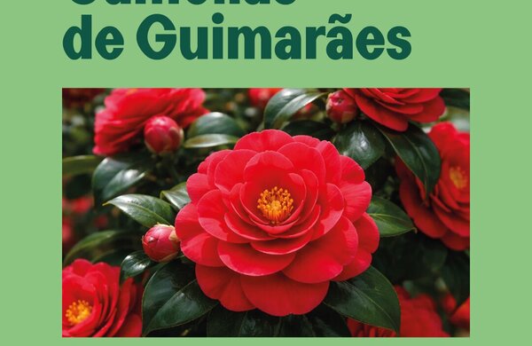 exposicao_camelias_26_facebook