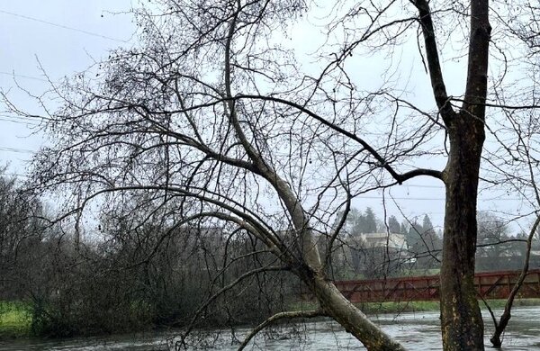 nigaufac00626parque_das_taipasabateassinadopage0004