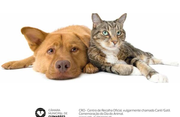 animal___c_pia
