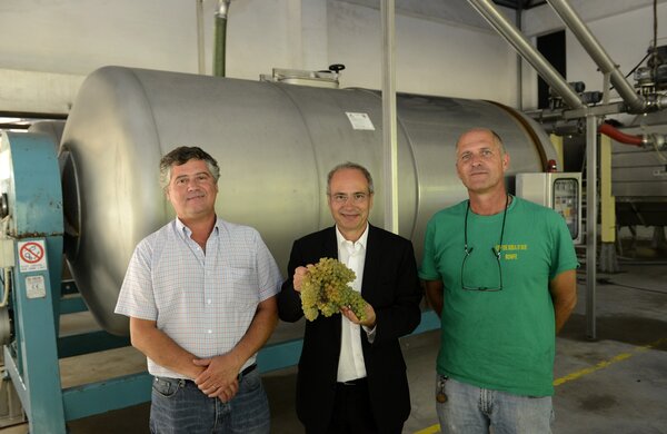 vindimas_adega_coop_guimaraes_0707