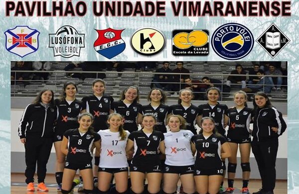 voleibol