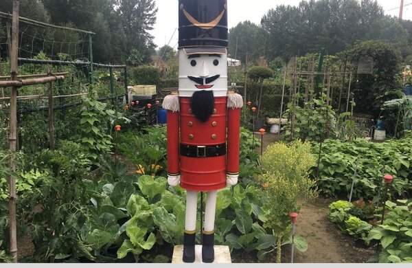 bb_7