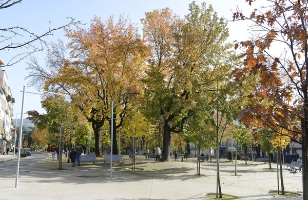 alameda_s_damaso_14c9664