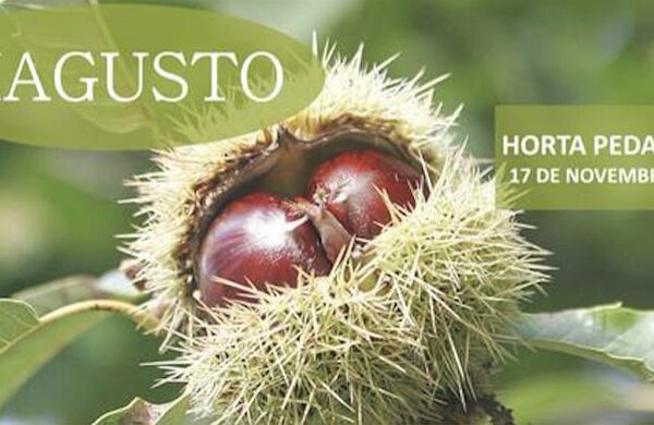 magusto