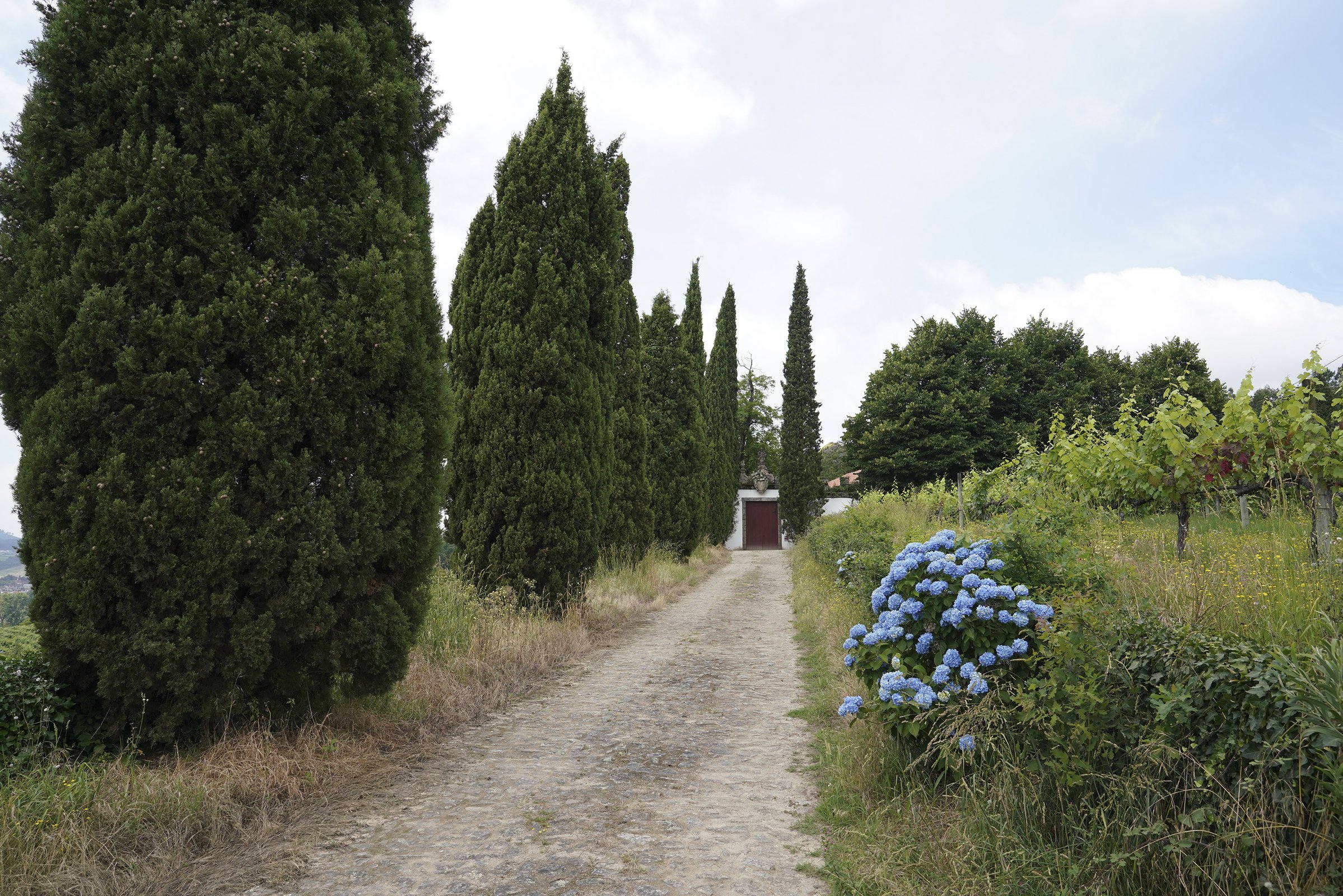 casa_covilha_18c04492