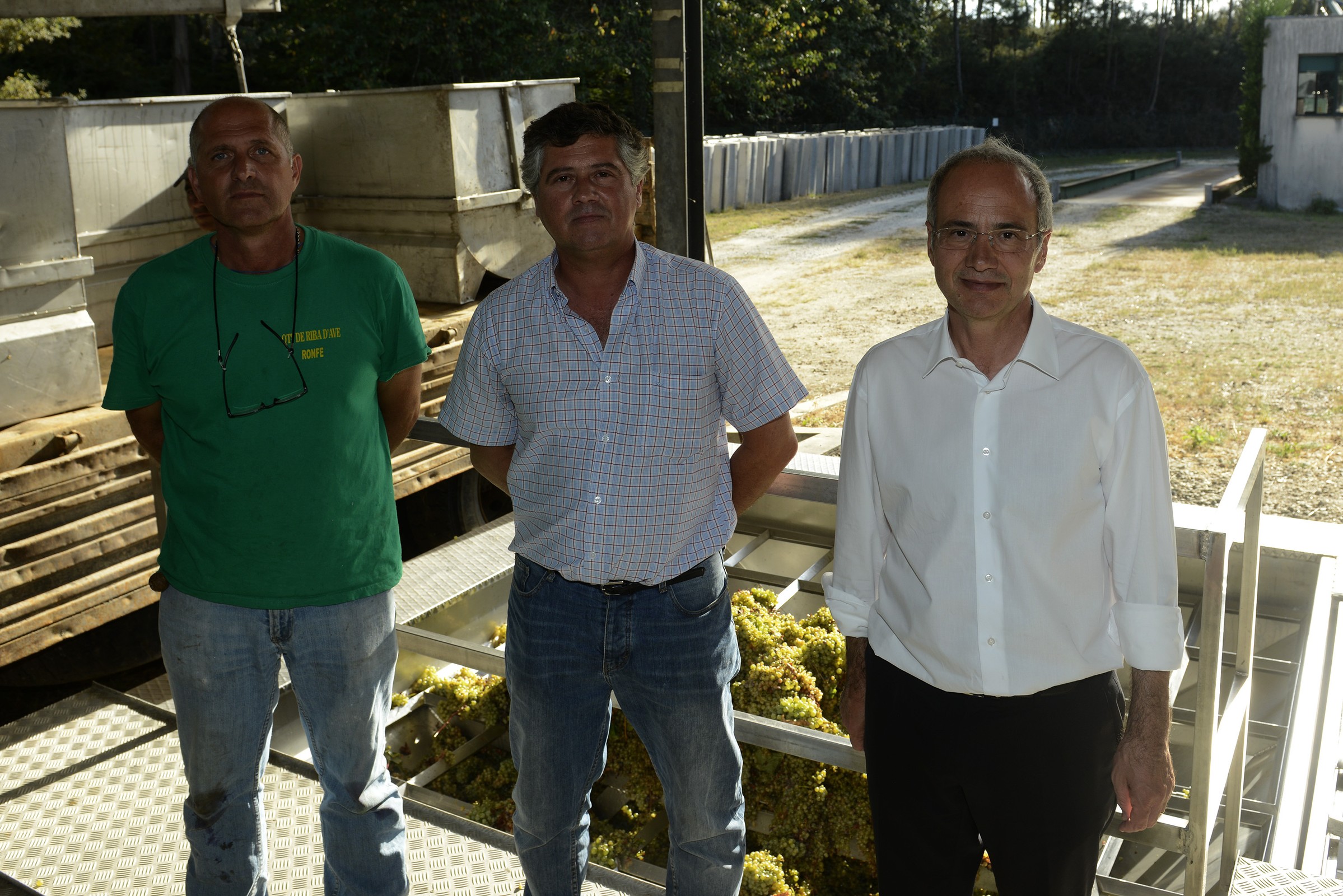 vindimas_adega_coop_guimaraes_0770