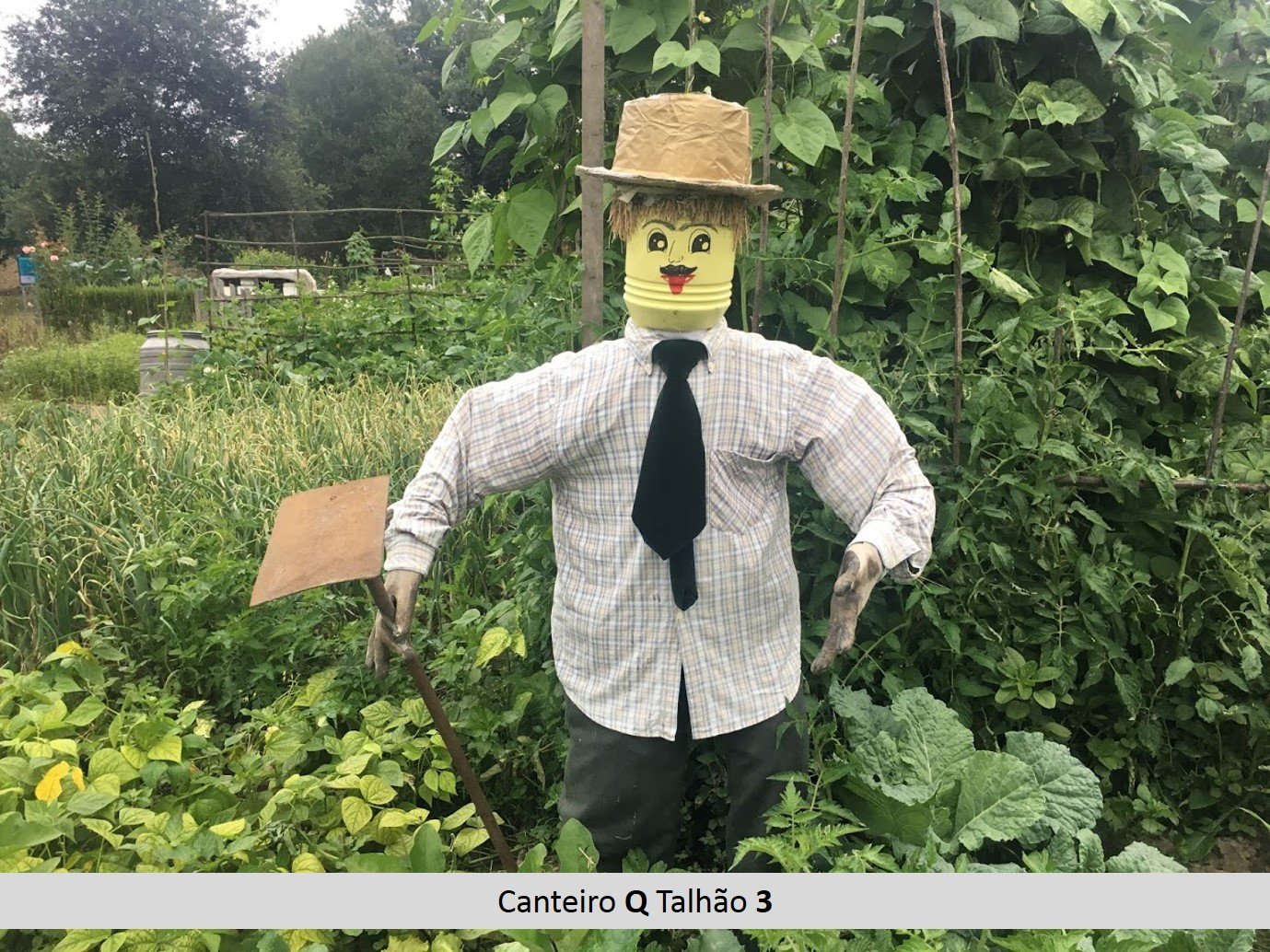 q3