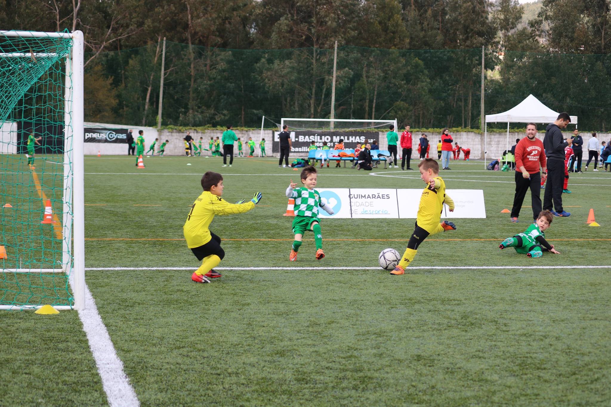 ligamini_04