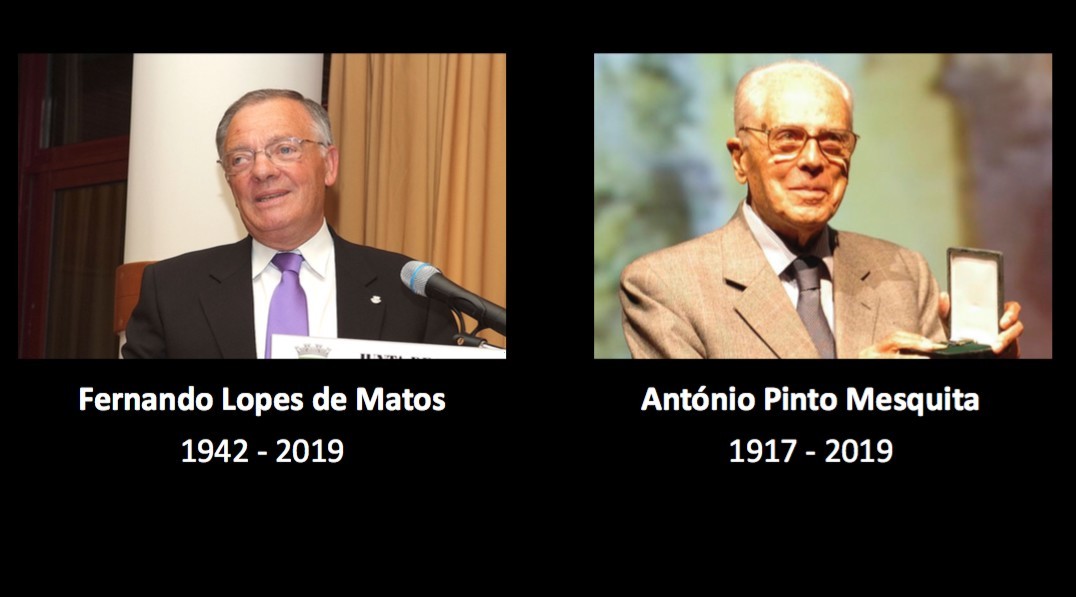 votopesar