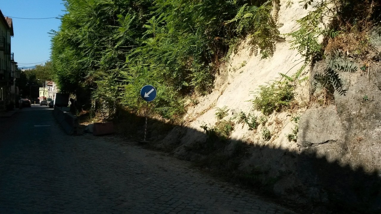 rua_manuel_tomas