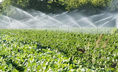 agricultura