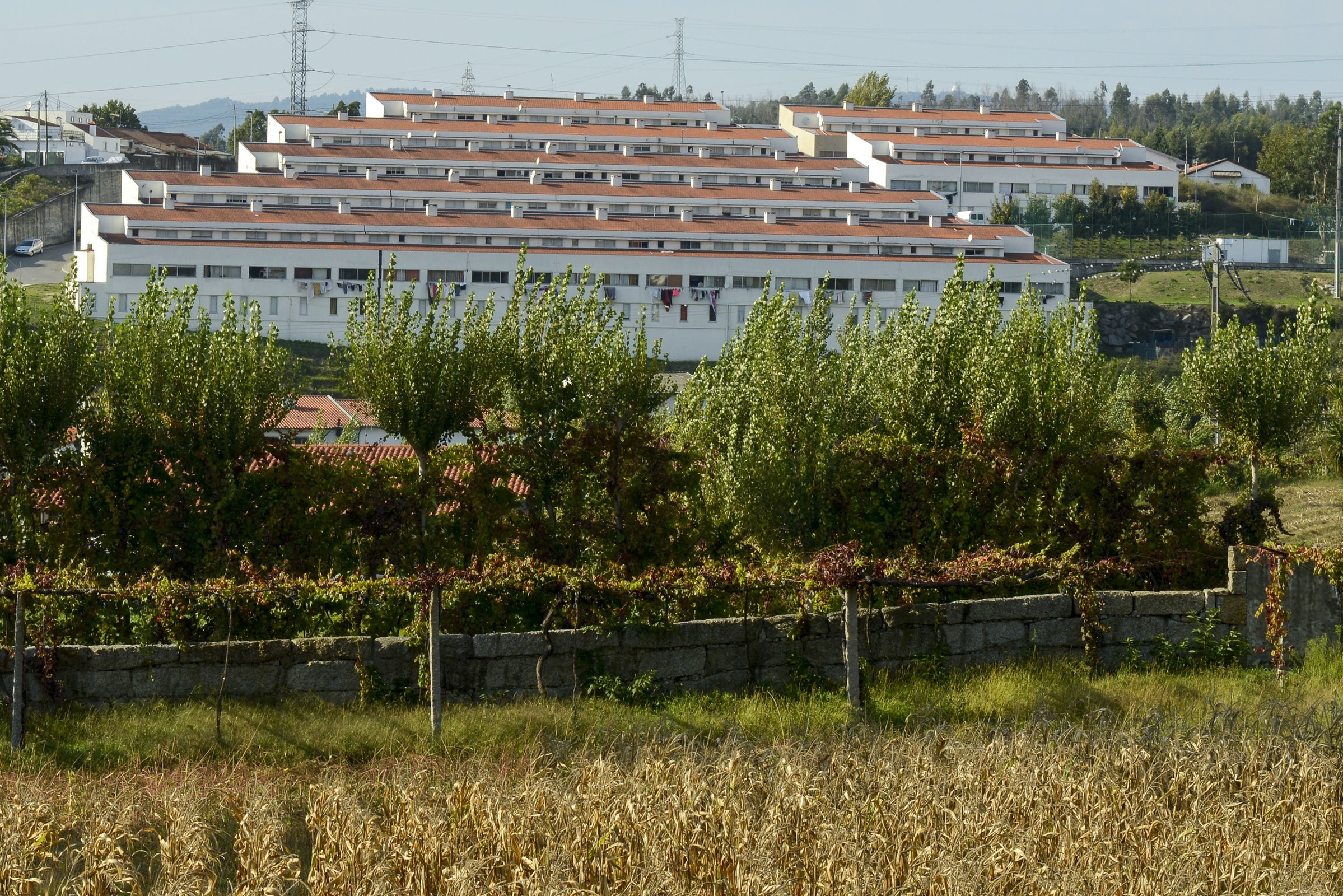 coradeiras