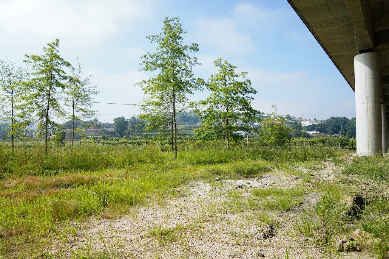 parque_batoca21_004