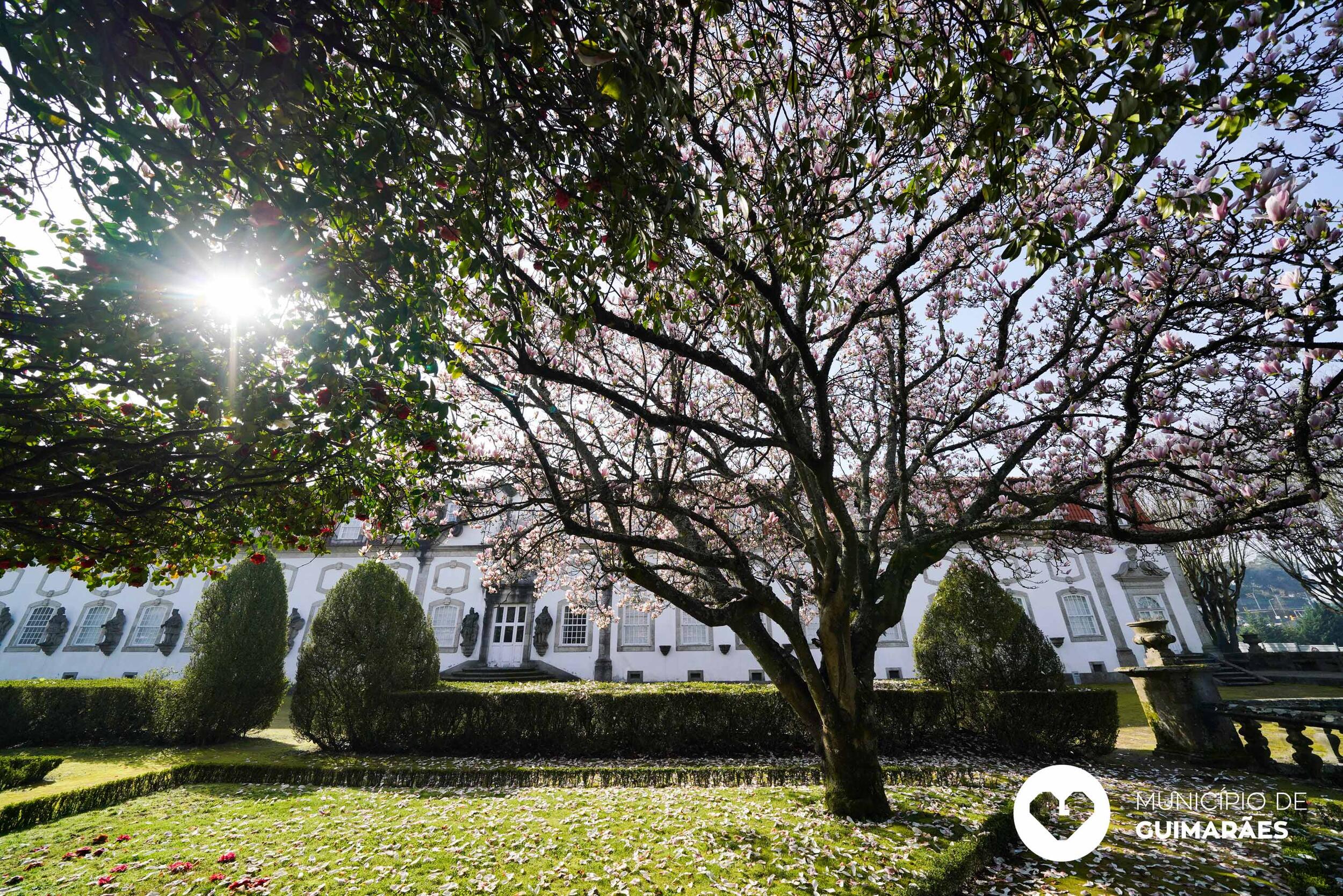 jardim_palacio_vila_flor21_085