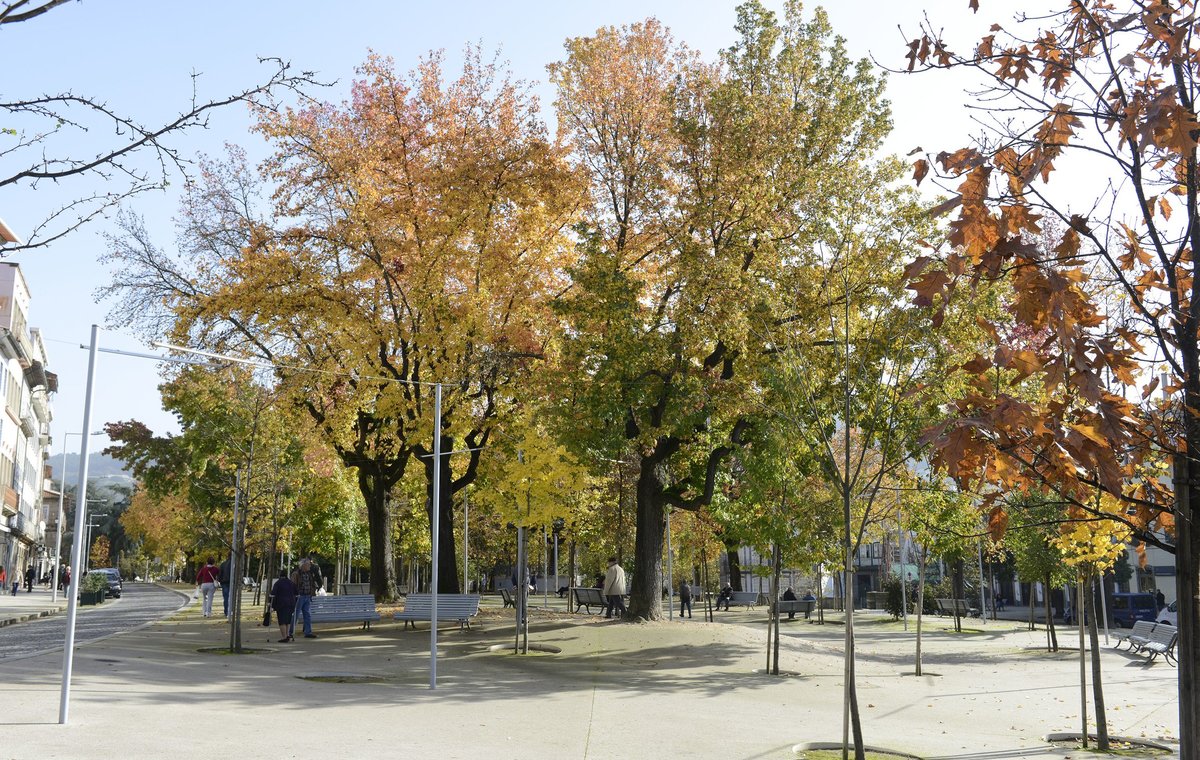 alameda_s_damaso