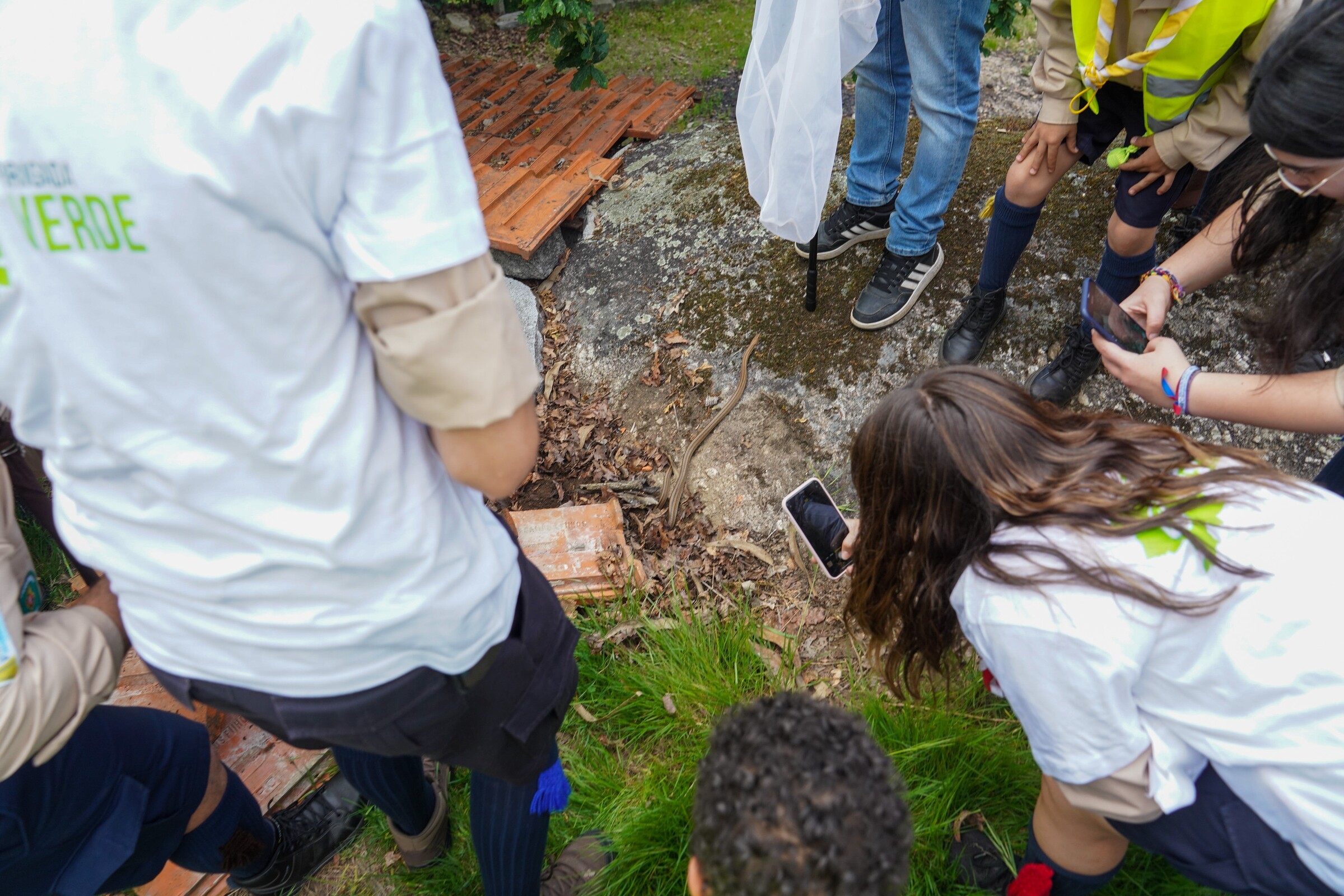 brigada_verde_pevidem23_0021