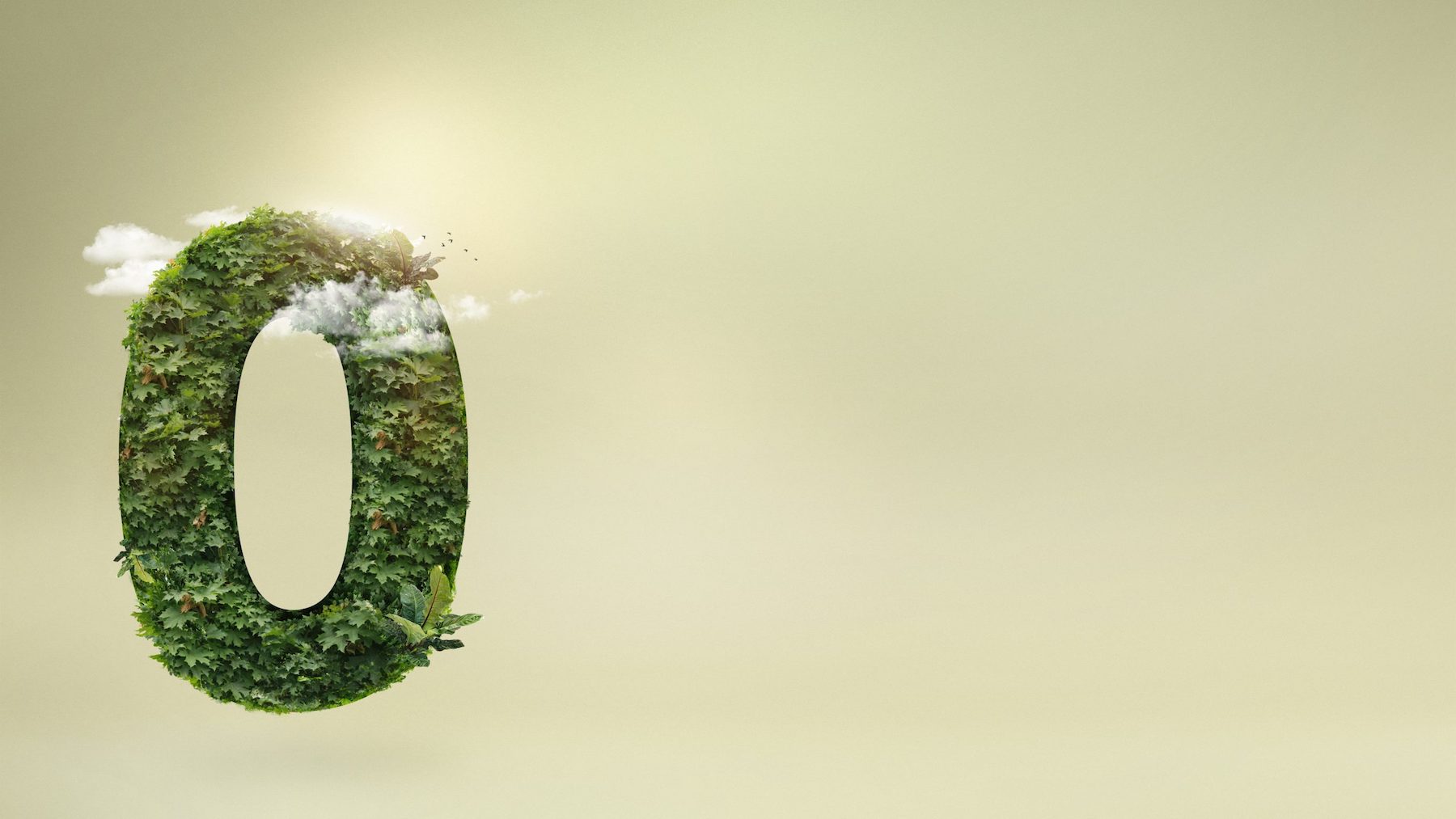 zero_carbon_footprint_text_collage_with_nature_texture_scaled
