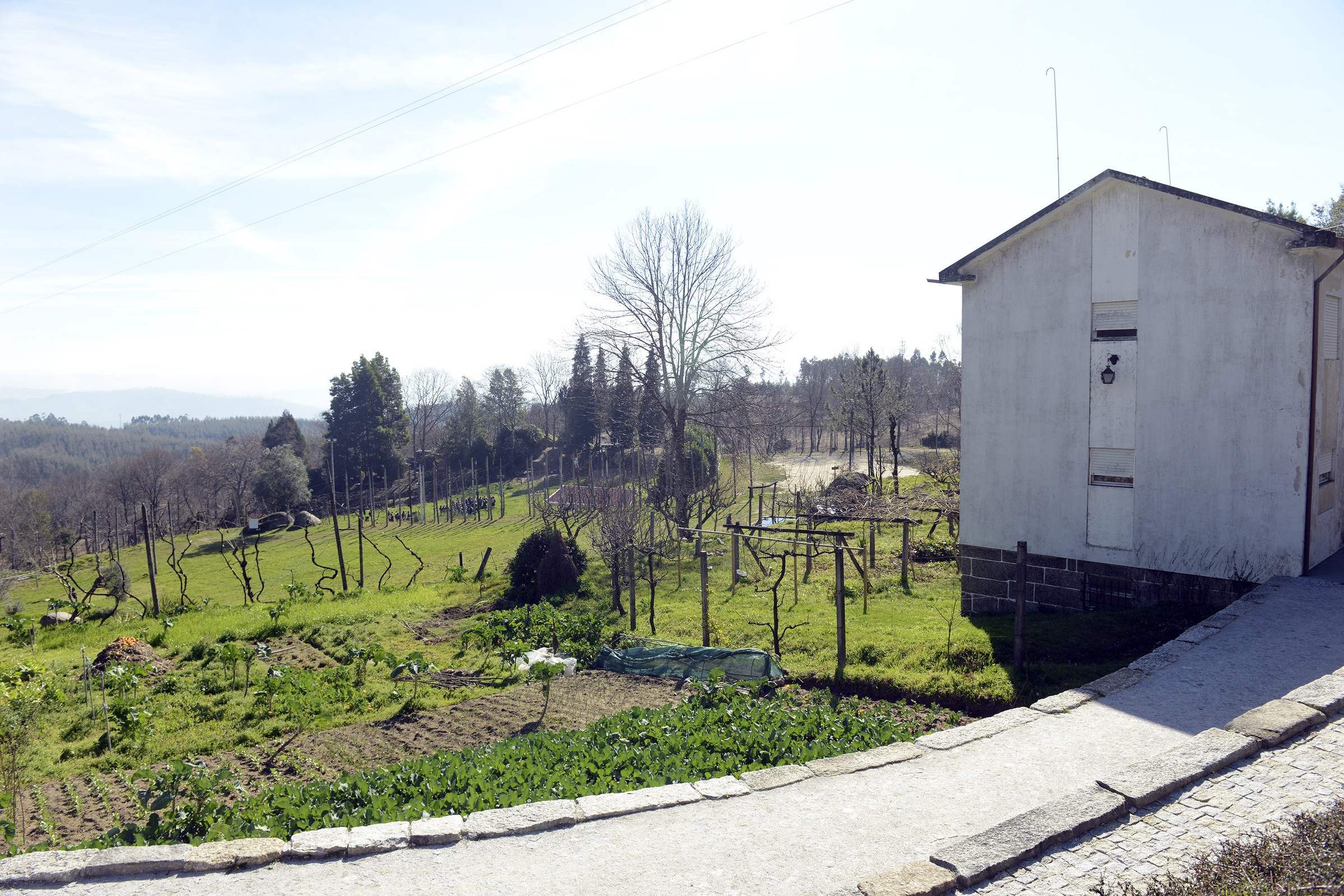ceia_penha_17c4022
