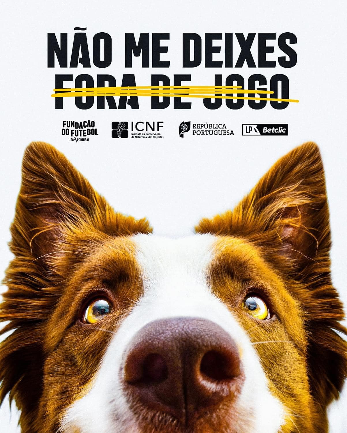 nao_me_deixes_fora_de_jogo