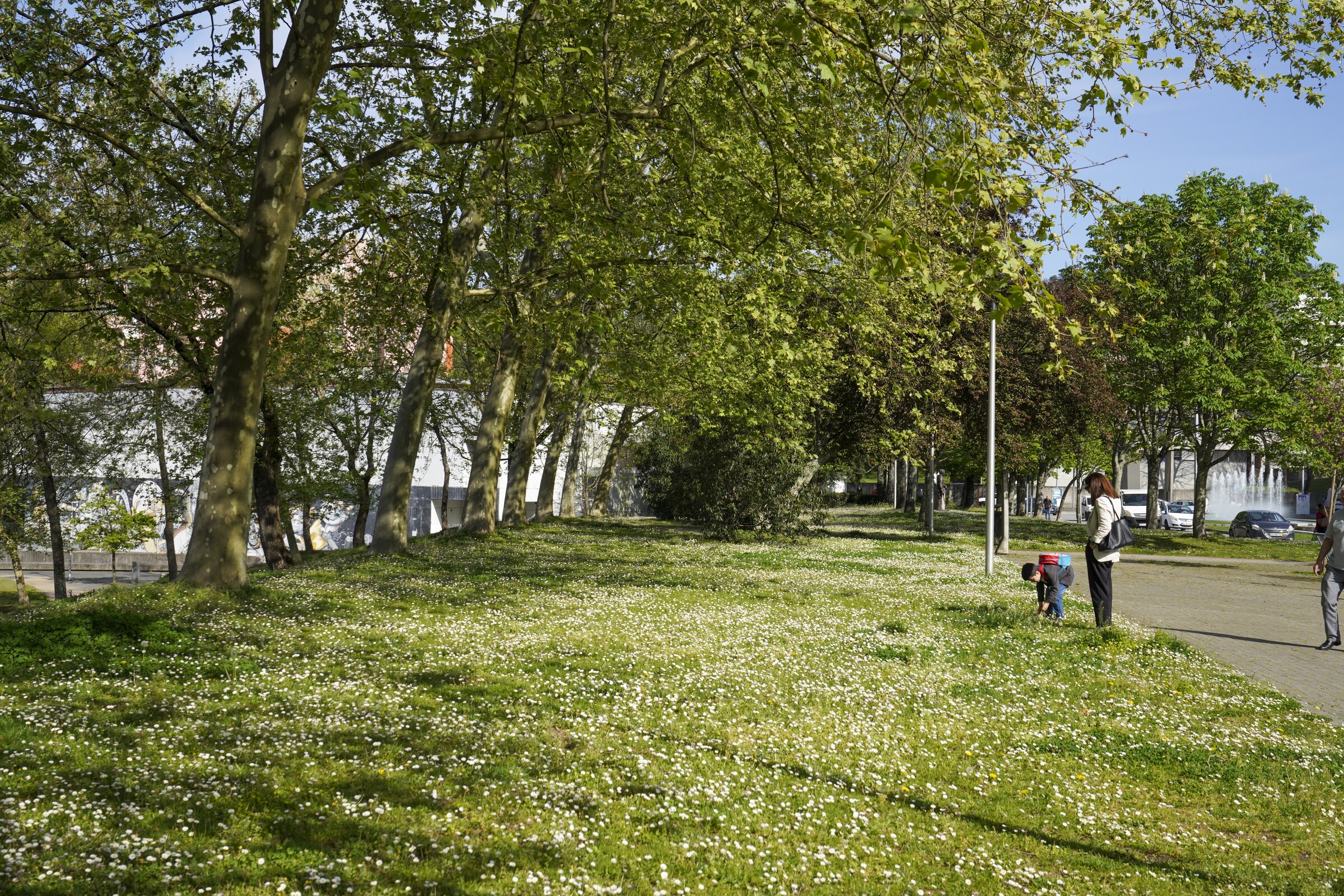 alameda_alfredo_pimenta_na_primavera25_29105