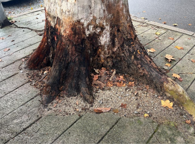 captura_de_ecra_2026_01_14_233327