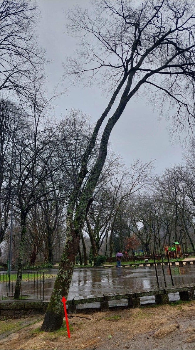 nigaufac00626_parque_das_taipas_abate_assinado_page