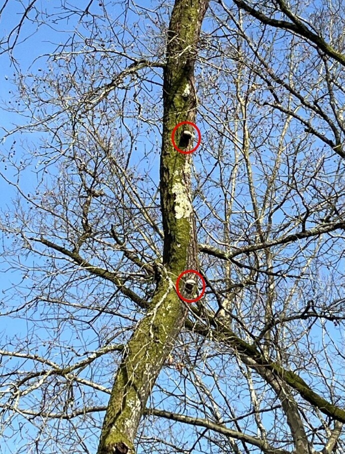 nigaufac00112parque_das_taipasassinado