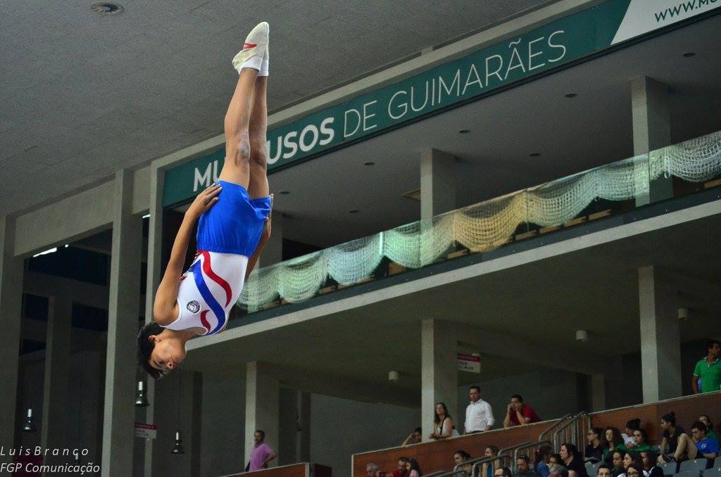 ginasticaartistica2
