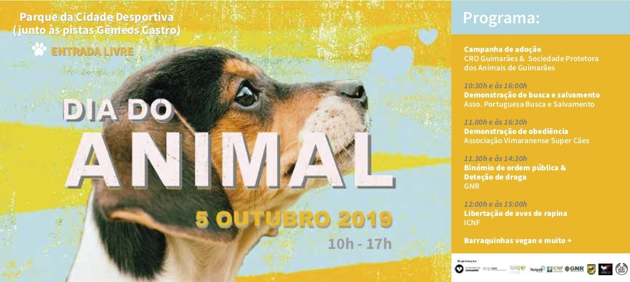 CRO de Guimarães promove campanha de adoção no Dia do Animal