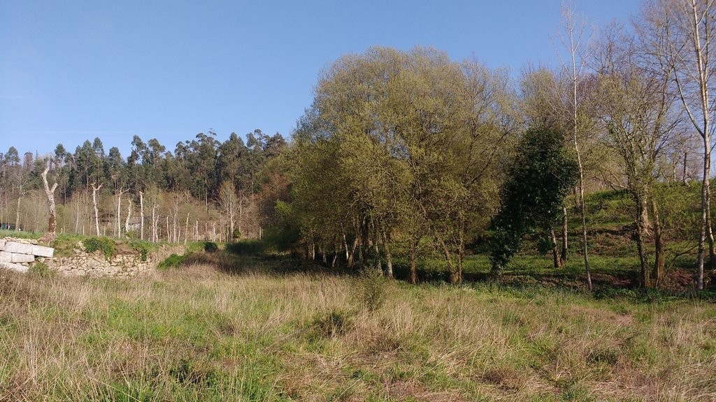 Inscrições para o Banco de Terras de Guimarães até 30 de abril