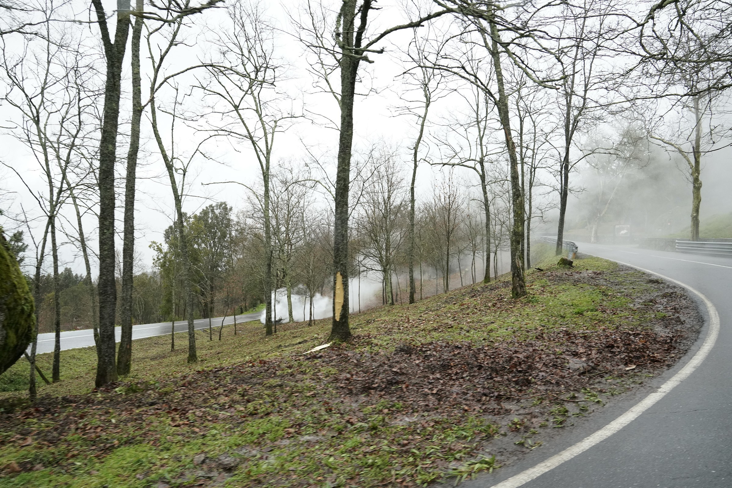 Guimarães já efetuou limpeza de mais de 100 hectares nas faixas de gestão de combustível