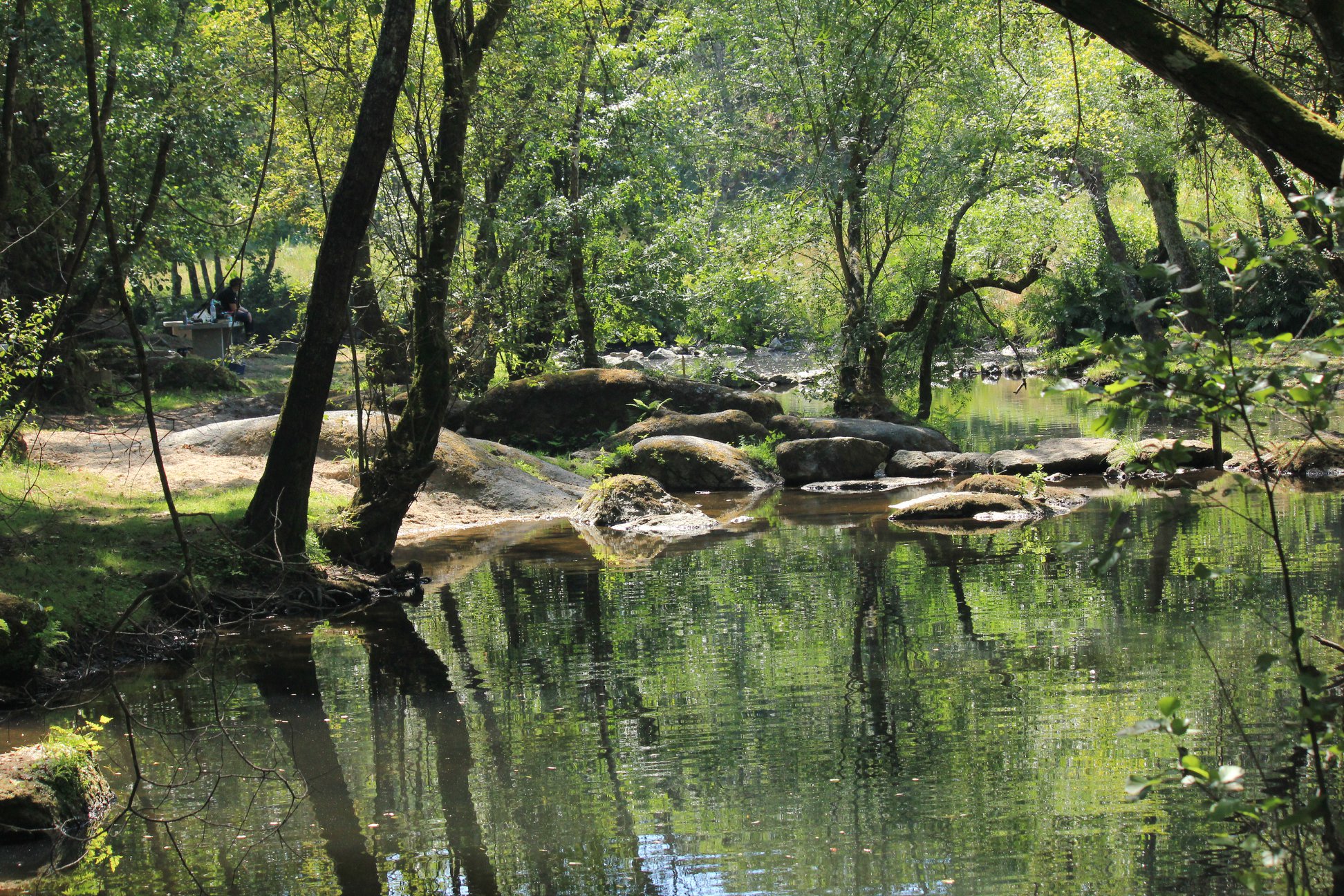 Dia Mundial do Ambiente assinalado com nova edição da EcoRevista “Guimarães mais verde”