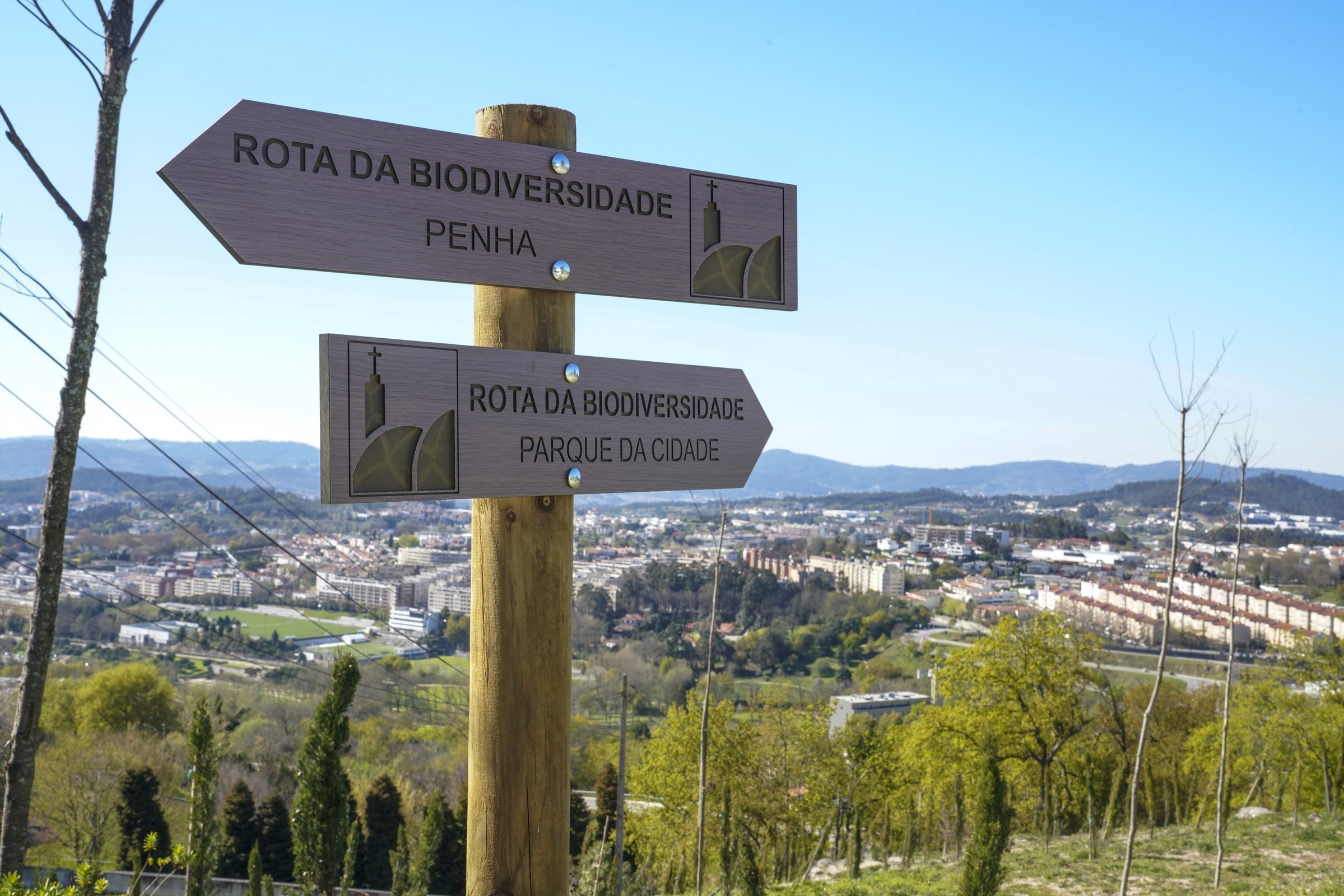 Colaboração entre Municípios de Guimarães e Palmela para a retoma turística