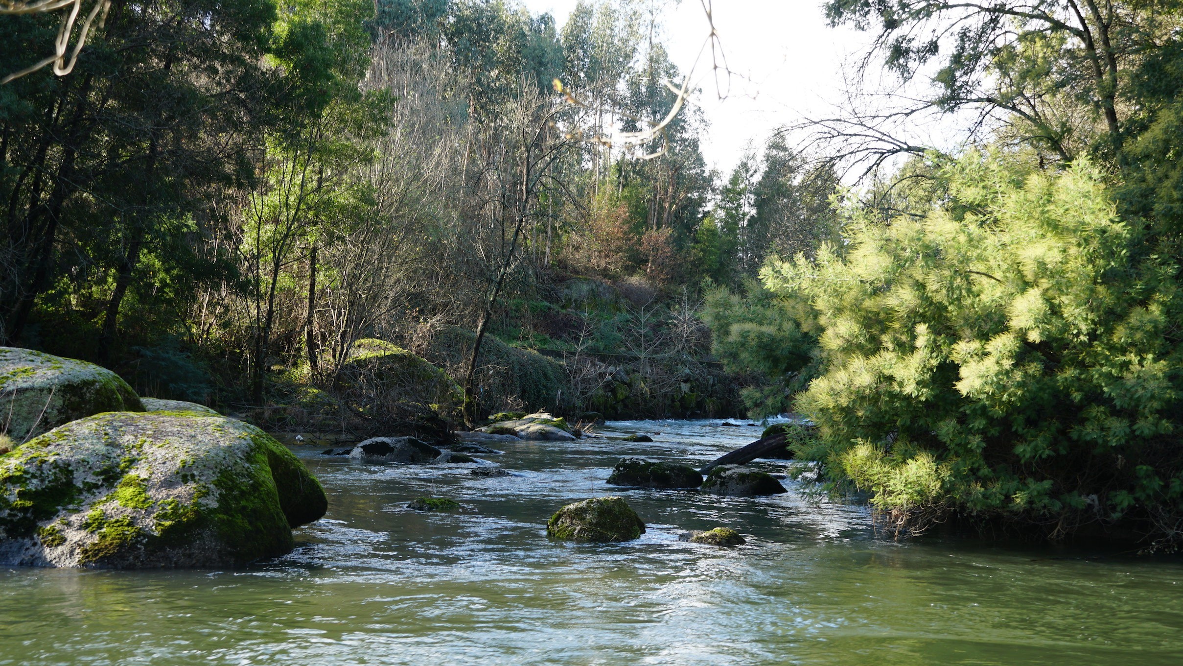 “Transição verde” discutida ao longo de três dias no Fórum Ambiental da Eurocities