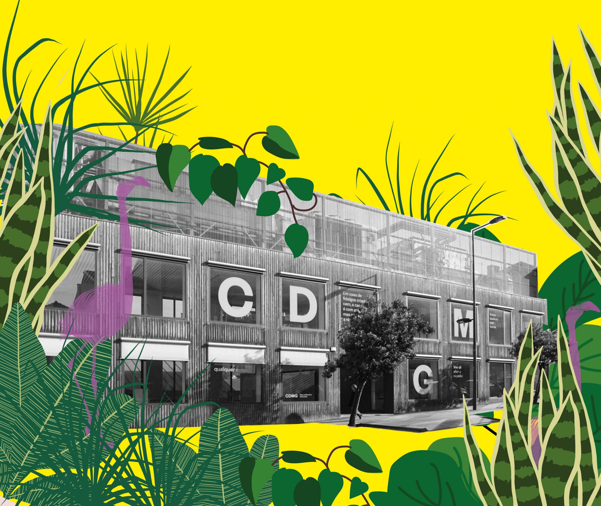 Casa da Memória convida a comunidade a participar no projeto “Selva Coragem” através da partilha ...