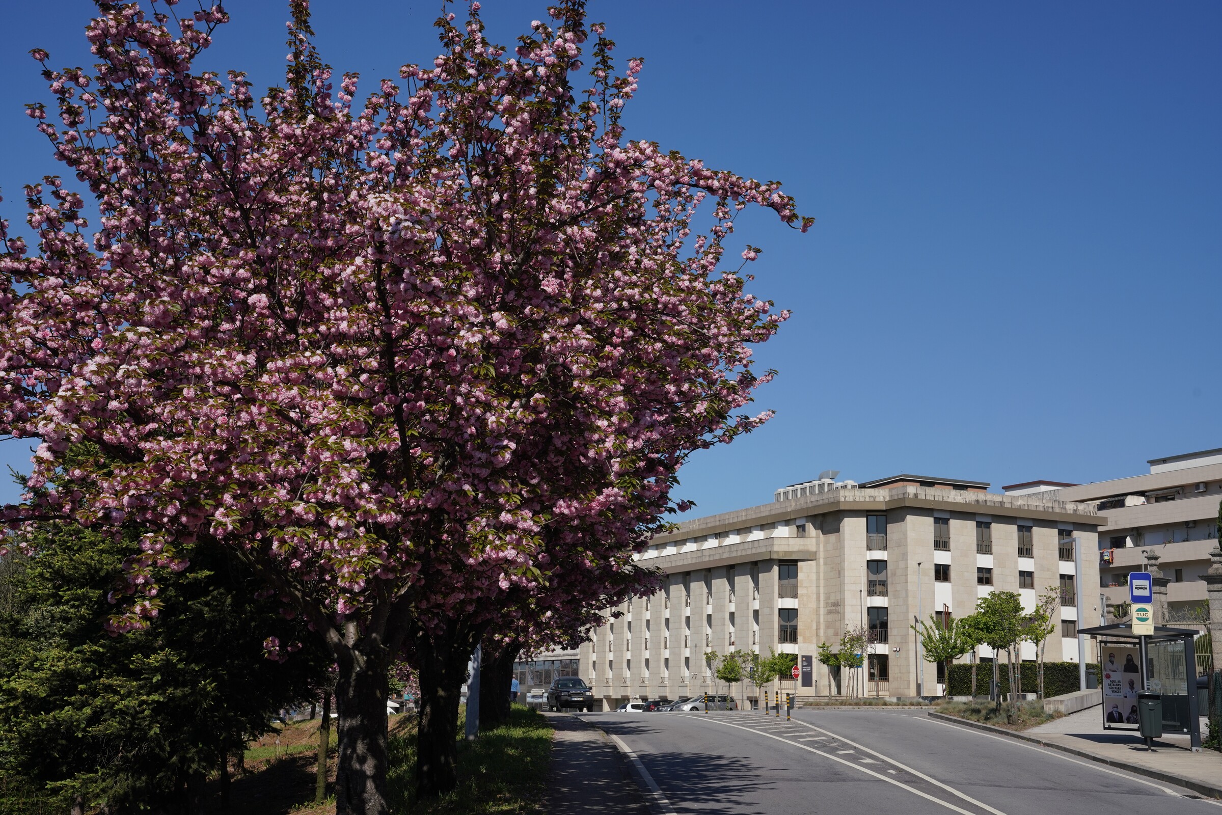 Domingos Bragança considera novo Campus de Justiça uma inevitabilidade
