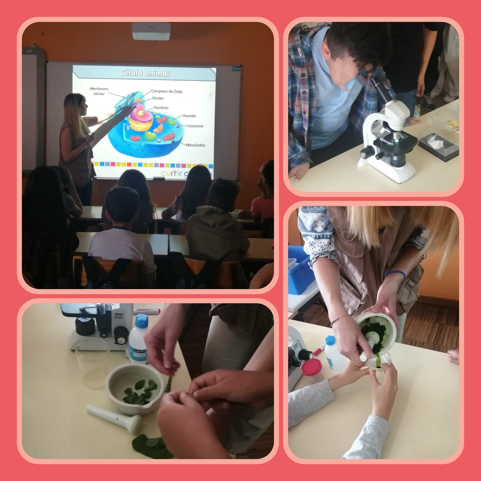 Curtir Ciência leva "A Célula" às turmas do 5º ano