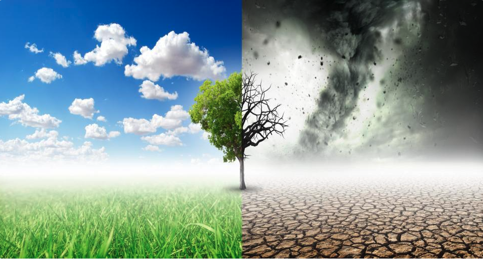 Guimarães lança Pacto Climático 2030 no Dia Mundial do Ambiente